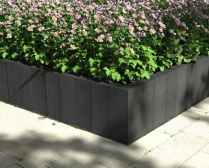 Palisada XL