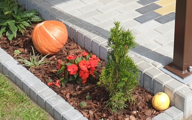 Obrzeże Endo